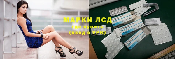PSILOCYBIN Армянск