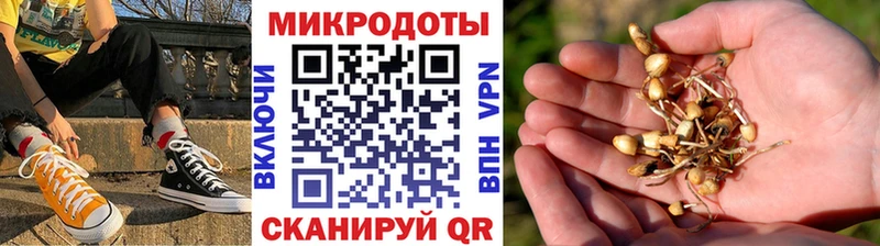 Псилоцибиновые грибы мухоморы Ленск