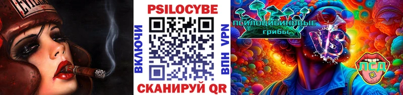 Псилоцибиновые грибы Psilocybe Ленск